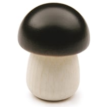 Bolet - Erzi