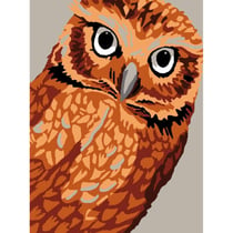 LUC - Kit Canevas Blanc Hibou 20x25 cm 100% Coton