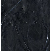 PLUMES NOIRES - 12 CM
