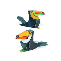 TOUCAN