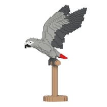 Perroquet Gris du Gabon ailes déployées | JEKCA | 14 ans et +