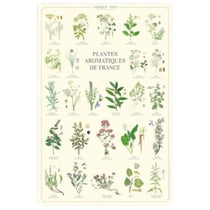 Longue vue editions - Plantes aromatiques de France - Affiche 40 x 60 cm
