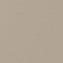 Tissu Coton enduit uni Gris galet