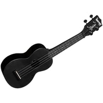 Recycled Waterman Soprano Black Sand Kala