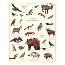 Longue vue editions - Animaux des montagnes - Affiche 24 x 30 cm