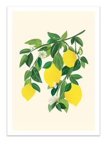 Affiche 30 x 40 cm - Sunny Lemons - Kristian Gallagher