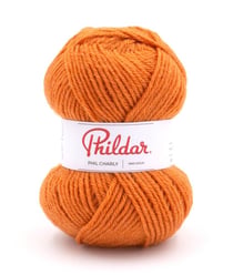 Pelote à tricoter PHIL CHARLY - Phildar : Un essentiel pour tous vos projets tricot Ecureuil Marron