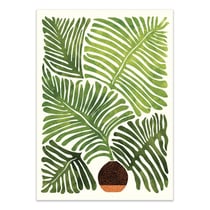 Affiche 50x70 cm - Summer Fern - Kristian Gallagher