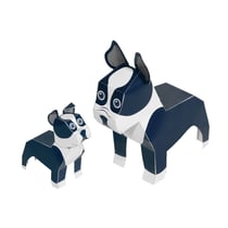 MAXI BOSTON TERRIER