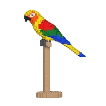 Conure Soleil | JEKCA | 14 ans et +
