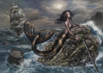 Puzzle 1500 pièces - The Call of the Storm - Grafika