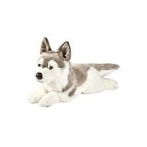 Peluche Husky couche 42 centimetre