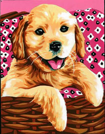 Kit canevas blanc Labrador 20x25cm