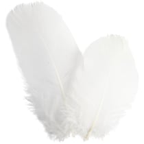Plumes d'oies - rond, L : 5-8 cm, blanc, 3 gr/ 1 Pq.