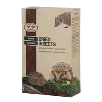 Mélange d'insectes séchés