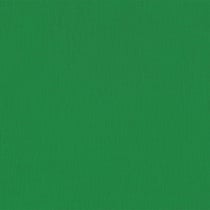 Papier crépon Vert 2,50 m x 0,50 m