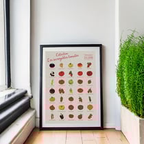 Poster - Les Incroyables Tomates