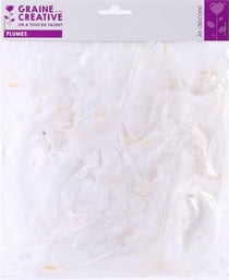 SACHET DE 25 Gr PLUMES BLANCHES