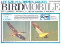 Birdmobile Bergeronnette des ruisseaux