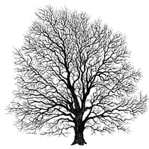 TAMPON ARBRE - 100X100 MM -BOIS