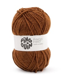 PINGO FIRST