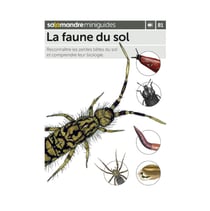 Miniguide 81 - La faune du sol
