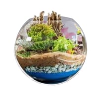 Bulle décorative pour Mini-Jardin en lévitation BABYLONIA
