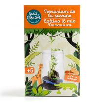 Terrarium de la savane