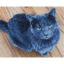 Carré Chat bleu – Intermédiaire