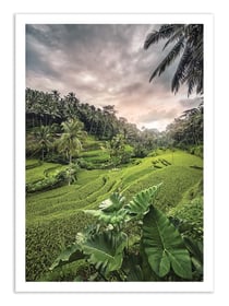 Affiche 50 x 70 cm -  Ubud Bali Indonesia - Manjik Pictures