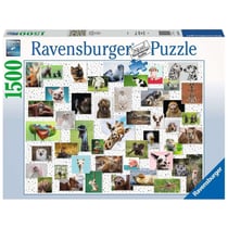 Puzzle Collage d'animaux amusants