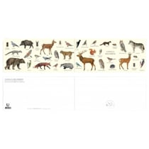Longue vue editions - Animaux des forêts - Carte double
