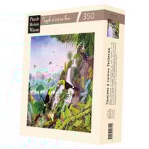 Toucans à carène d'Alain Thomas