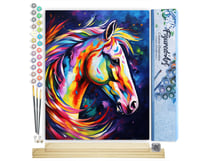 Peinture par Numéro Figured'Art - Cheval Coloré Abstrait - Kit de Loisir Créatif DIY Numéro d'Art Complet - 40x50cm toile roulée + châssis en bois à monter