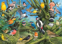 Puzzle 1000 pièces - Joahn Francis - Garden Birds - Eurographics
