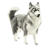 Hansa Peluche Geante Husky 70cmH 90cmL