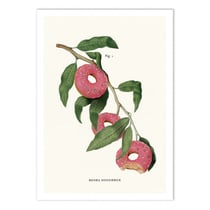 Affiche 30x40 cm - Donut Plant - Jonas Loose