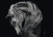 Puzzle 1000 pièces - Puissant – Le Cheval : Sous le Signe de la Force - Schmidt Spiele