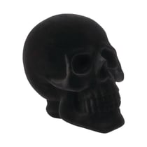 Chaks - Tête de Mort en Velours, crâne pour décoration d'halloween