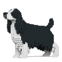 Chien Springer Anglais noir Taille standard | JEKCA | 14 ans et +