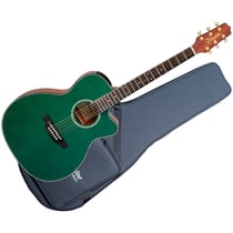 LTD2025 Antique Evergreen Takamine