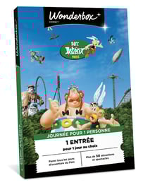 Parc Astérix - 1 jour pour 1 adulte