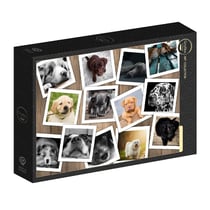 Puzzle 1000 pièces - Chiens - Grafika