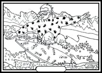 Tableau velours a colorier Surf des neiges Sericolor