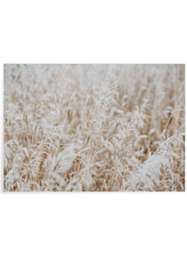 Poster Nature Winter 4 | A3 : 29,7x42cm