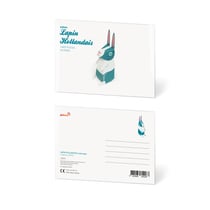 CARTE POSTALE LAPIN HOLLANDAIS
