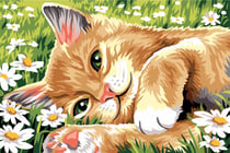Canevas SEG Couché dans l'Herbe 60 x 40 cm