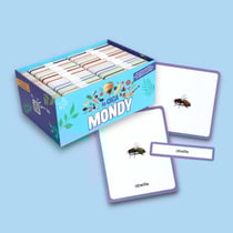 Giga Mondy - 600 cartes classifiées - Jeu de langage