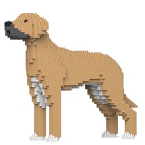 Chien Dogue Allemand beige Taille standard | JEKCA | 14 ans et +