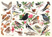 Puzzle 1000 pièces - Oiseaux Dans Mon Jardin - HOP - House of Puzzles